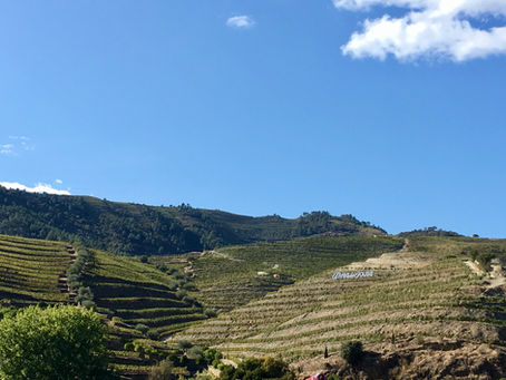 Rumo ao Alto Douro Vinhateiro e suas Vindimas