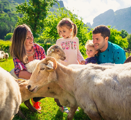 Shepherd for a day. Alluitz Natura