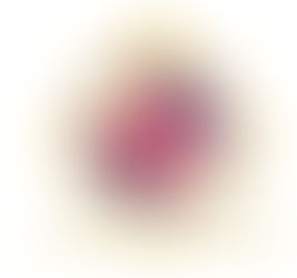 Messaggio dell'Arcivescovo R. E. Toro, Primate della nostra Comunione A.F.C.I.