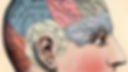 2600-brain.jpg