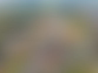 Rodovia do Açúcar será interditada para instalação de painel de mensagem variável nesta quinta-feira