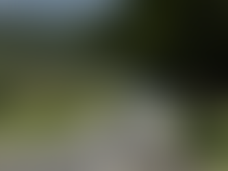 Cerca de 489 mil veículos devem passar no Corredor Leste da Marechal Rondon nos próximos feriados