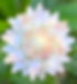 IMG_5630_edited.jpg