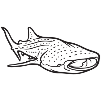 Whaleshark Icon Black.png