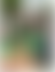 Club Spotlight: Introducing Mayfair Key Club!