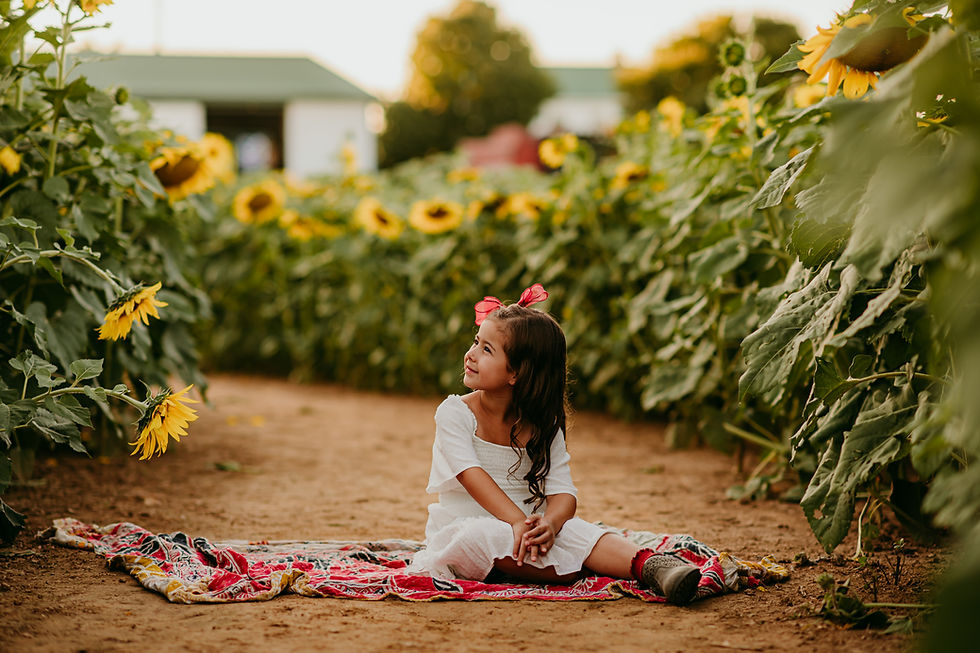 Fall color palette inspiration for family photos in Maryland sunflower fields.
