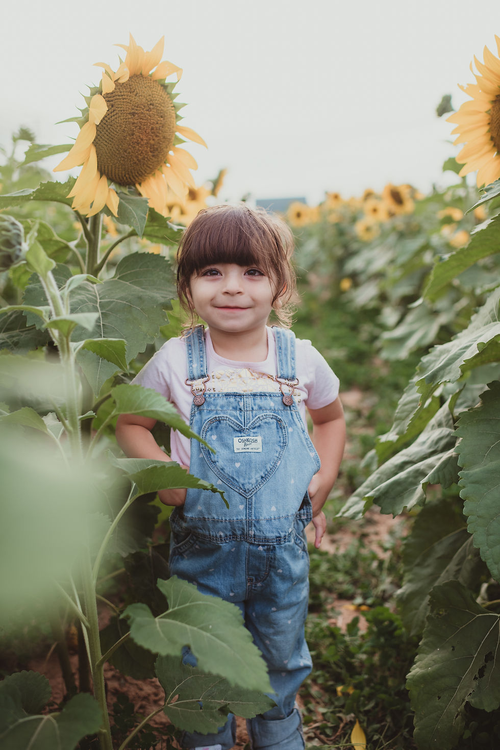 Portrait of child framed by tall yellow sunflowers in Baltimore County