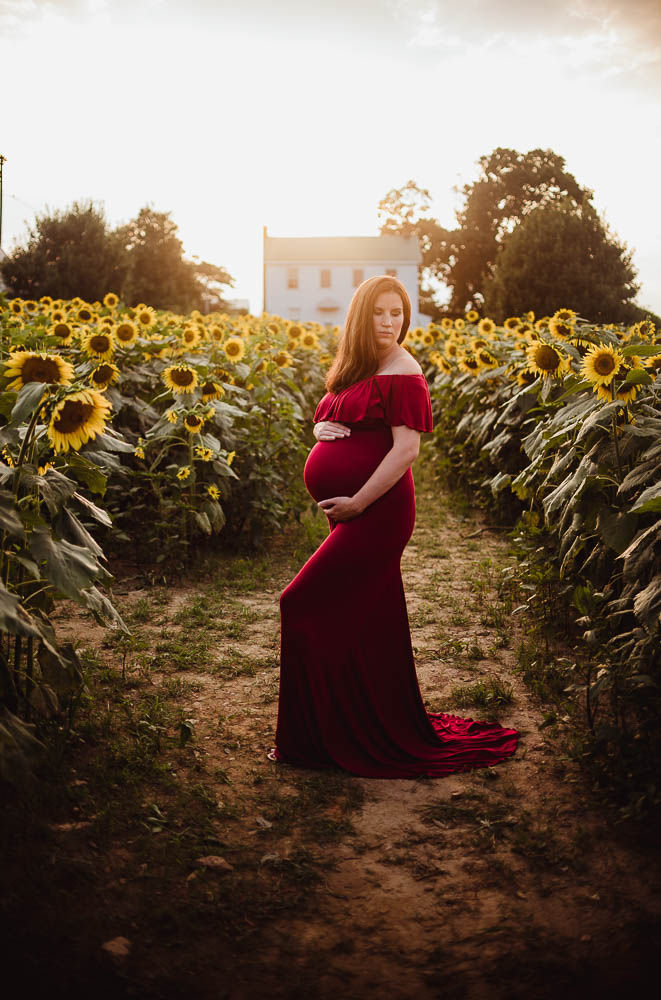 Sunflower Field Maternity Shoot Harford County Miller's Farm