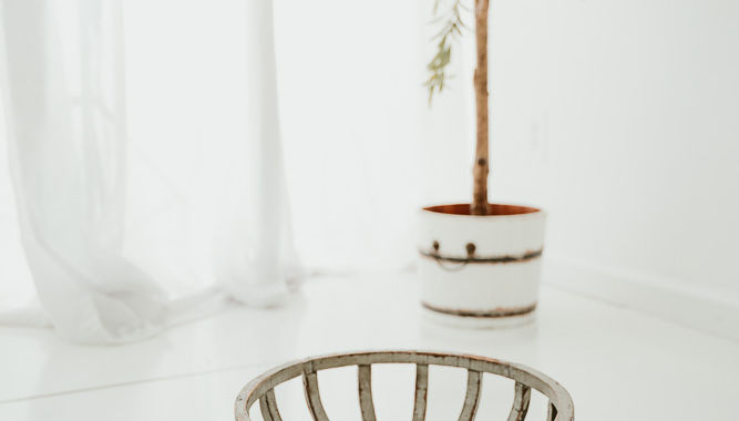 Best Newborn Photographer Near Me
