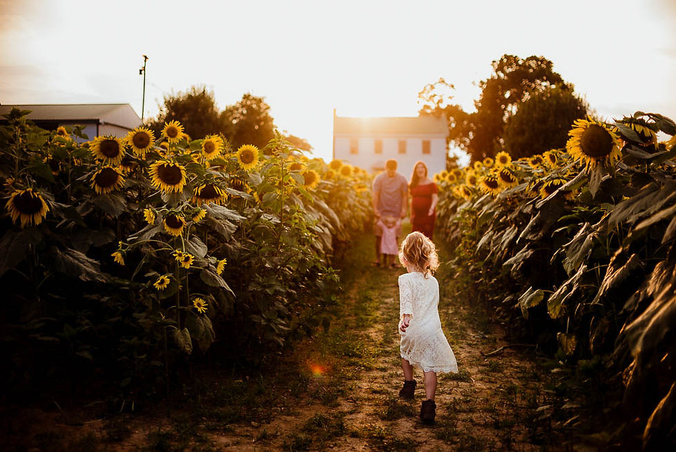 Tasha Sojka Photography