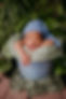 TSP_4260.jpg