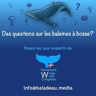 Questions_HWWC_BaladEAU.png
