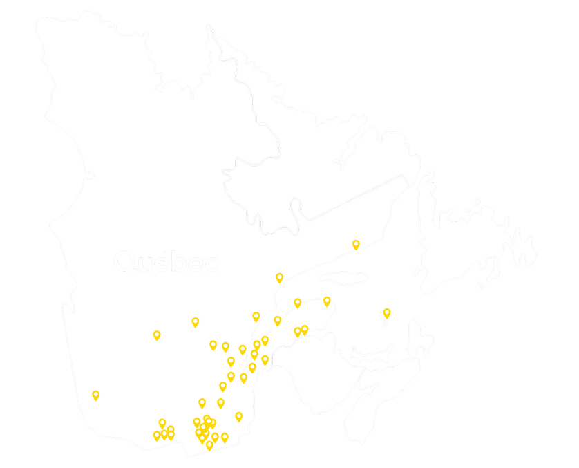 nettoyages_quebeconly2019.png