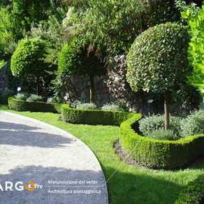 Manutenzione del verde più efficiente e sicura con ArgoPro