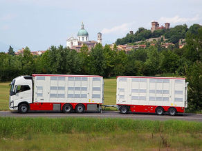 Pezzaioli si affida ad ArgoPro per migliorare il comfort del trasporto animali