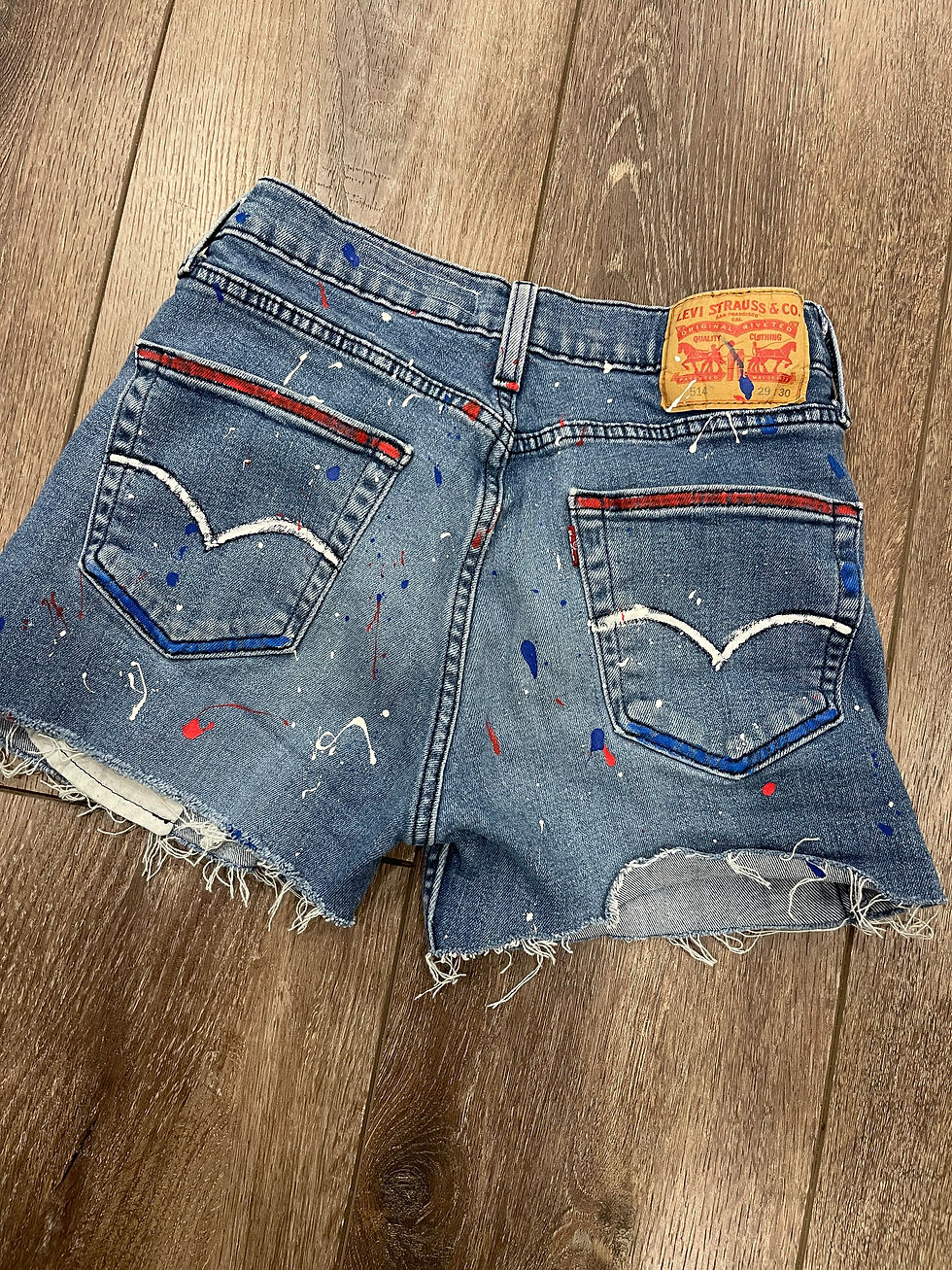 Thumbnail: Sz 29 Levi’s America the Beautiful