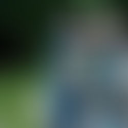 Ferrata Hluboká nad Vltavou: Zažijte adrenalin bezpečně