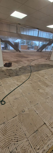 Project one photo one