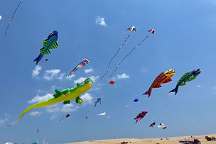 Kitty Hawk Kites.jpg