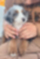 Hold Close R1.jpeg