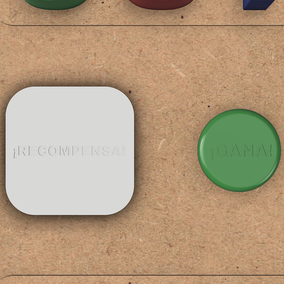Vista detalle 1.png