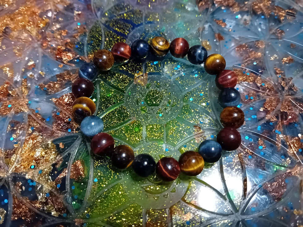 🐾 Bracelet Trilogie Sauvage