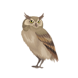 Owl logo image for owl and monkey tea