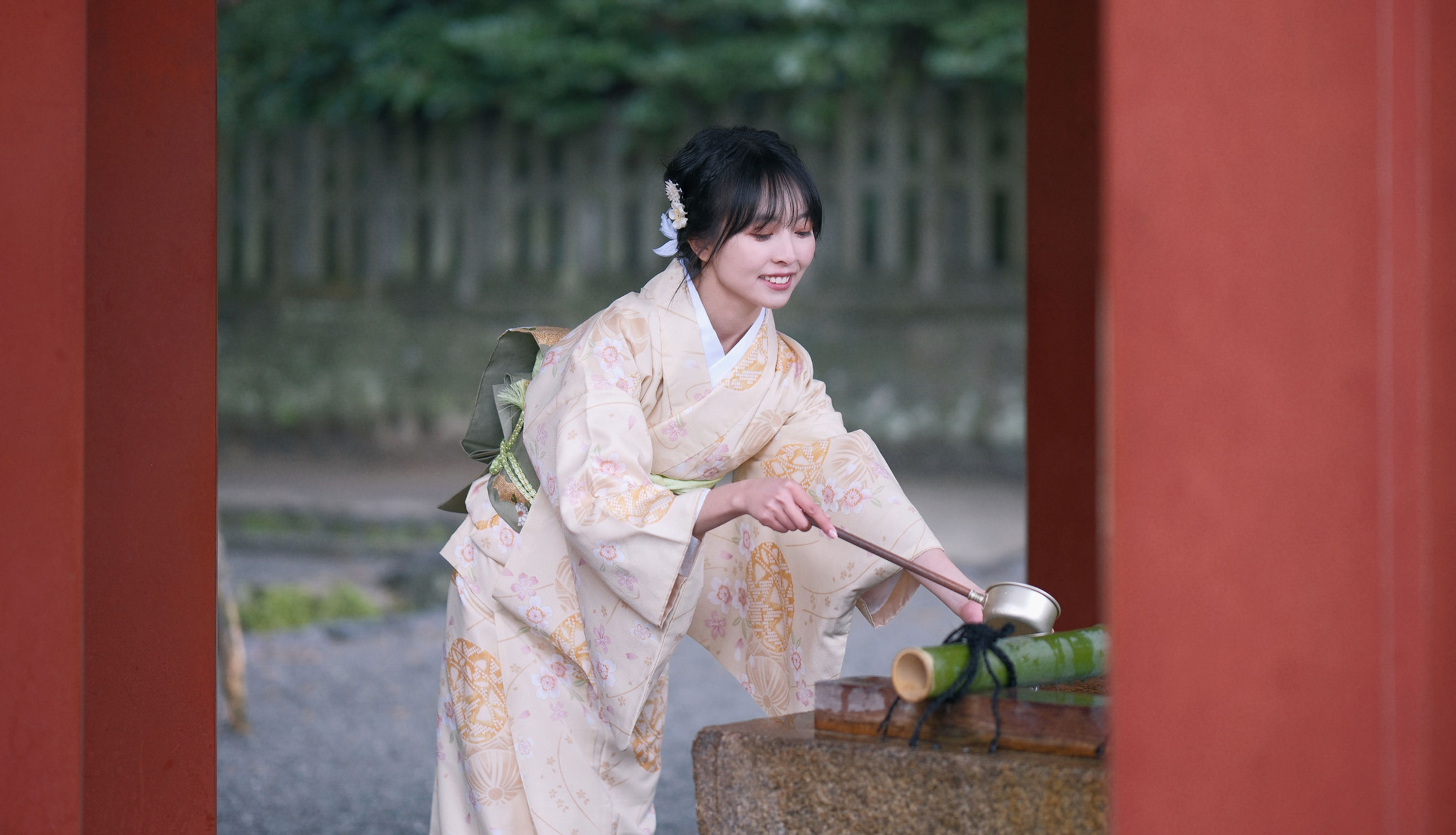 雅致小紋和服(正絹)寫真|鎌倉和服體驗|神社參拜