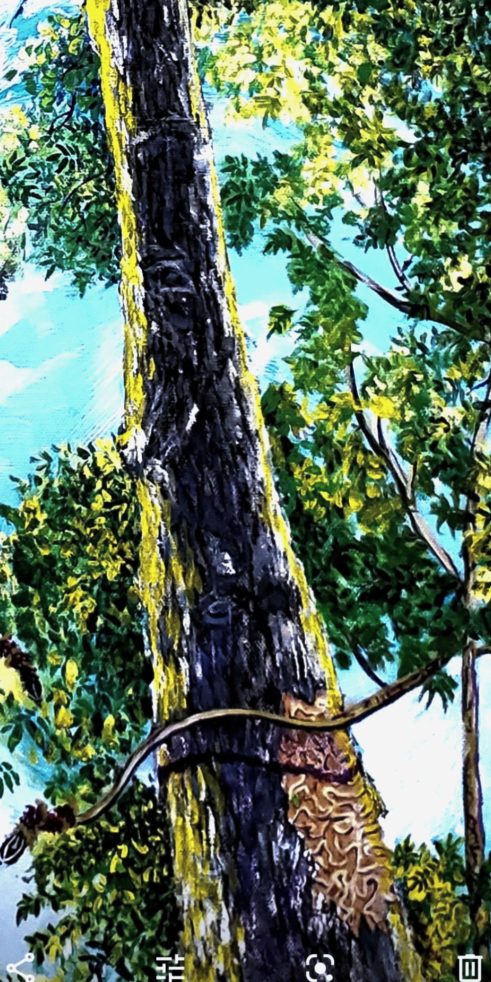 Feb 18 - Mar 17 Enchanter - the Ash     30 x 15 x 1.5"  $565 sale $282.50