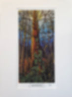 Thumbnail: Celtic Tree Series Prints