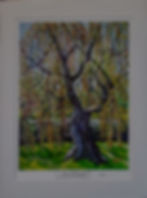 Thumbnail: Celtic Tree Series Prints