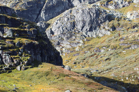 La création de l'ombre
