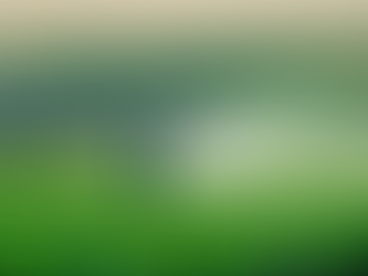 Soluciones tecnológicas para agricultura mexicana: Twindrops es la respuesta