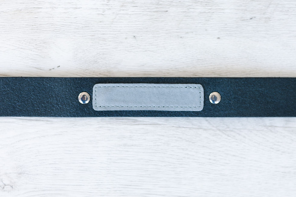 Thumbnail: MANUS | CAMERA STRAP | KINGFISHER