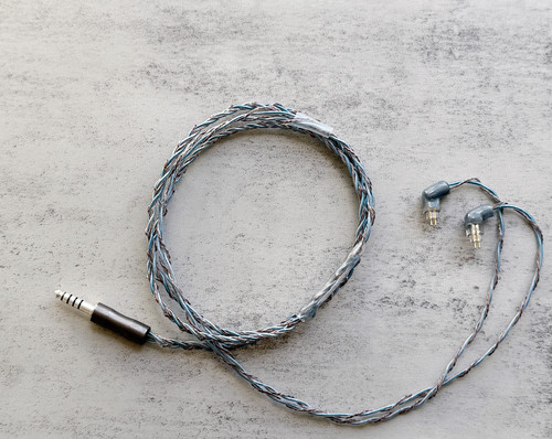 Paradoxia Sheep | wagnus