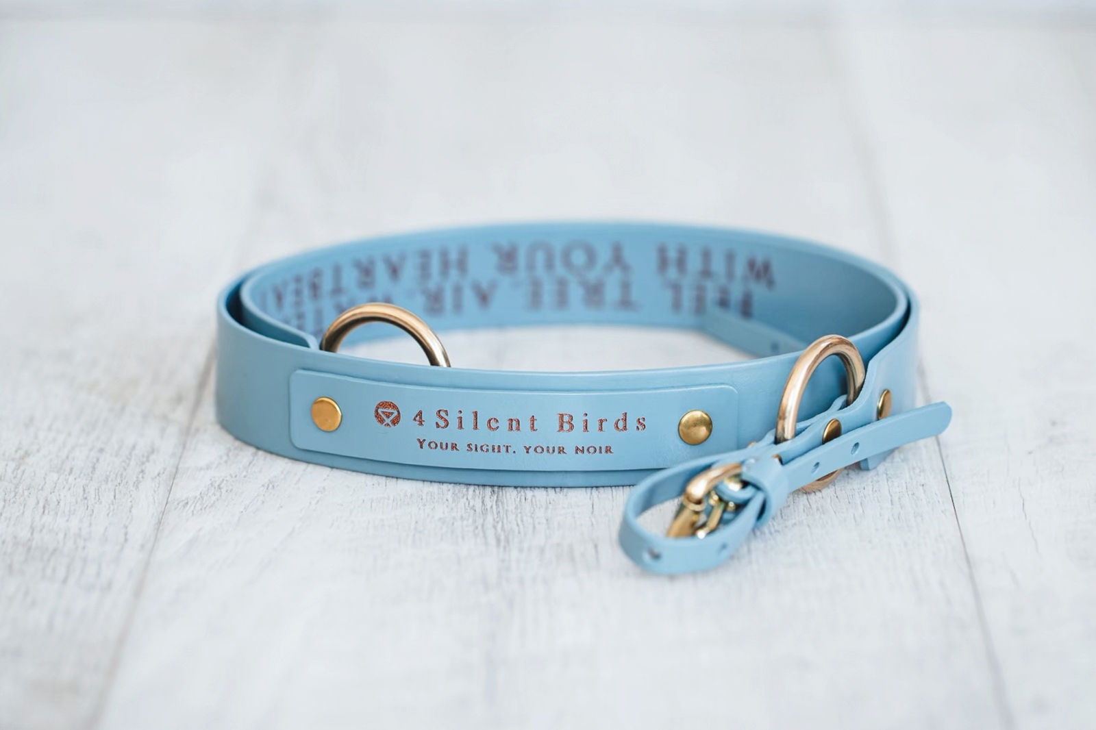 【4/26発売予定】 MANUS | CAMERA STRAP | AUDENIR (Brass ver)