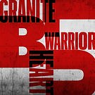 WARRIOR HEART SWISS TYPE BACKGROUND MAST