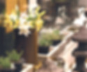 StoreLIVE! Sales Banner