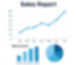 Sales Report