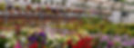 Garden-Center.jpg