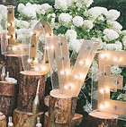 Lightbulb Love Letters