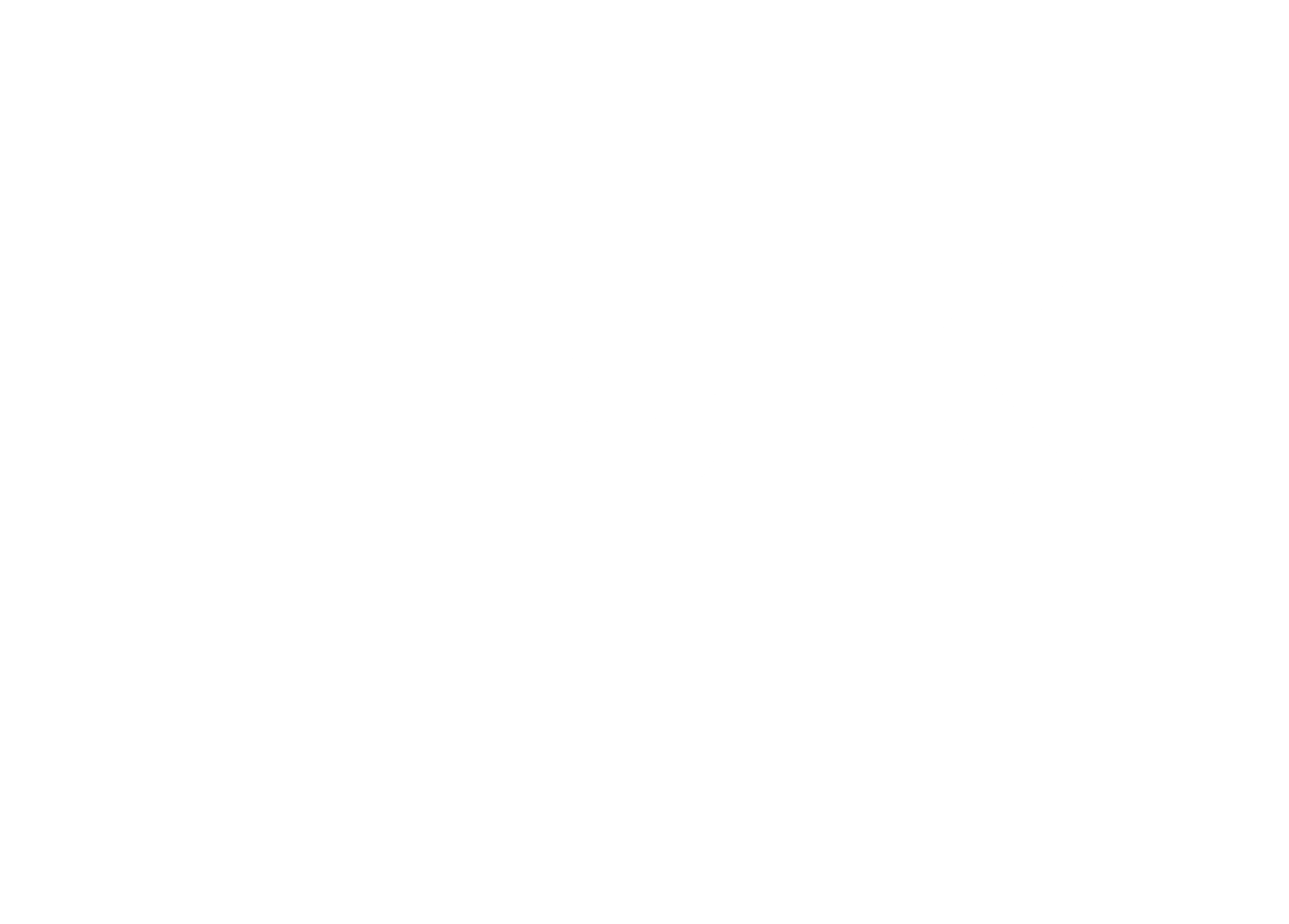 Logo_vit_Insikt Transparent.png