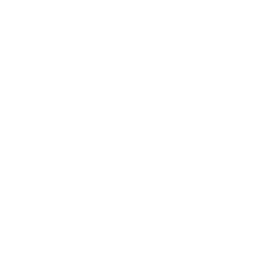 Insuresec logga