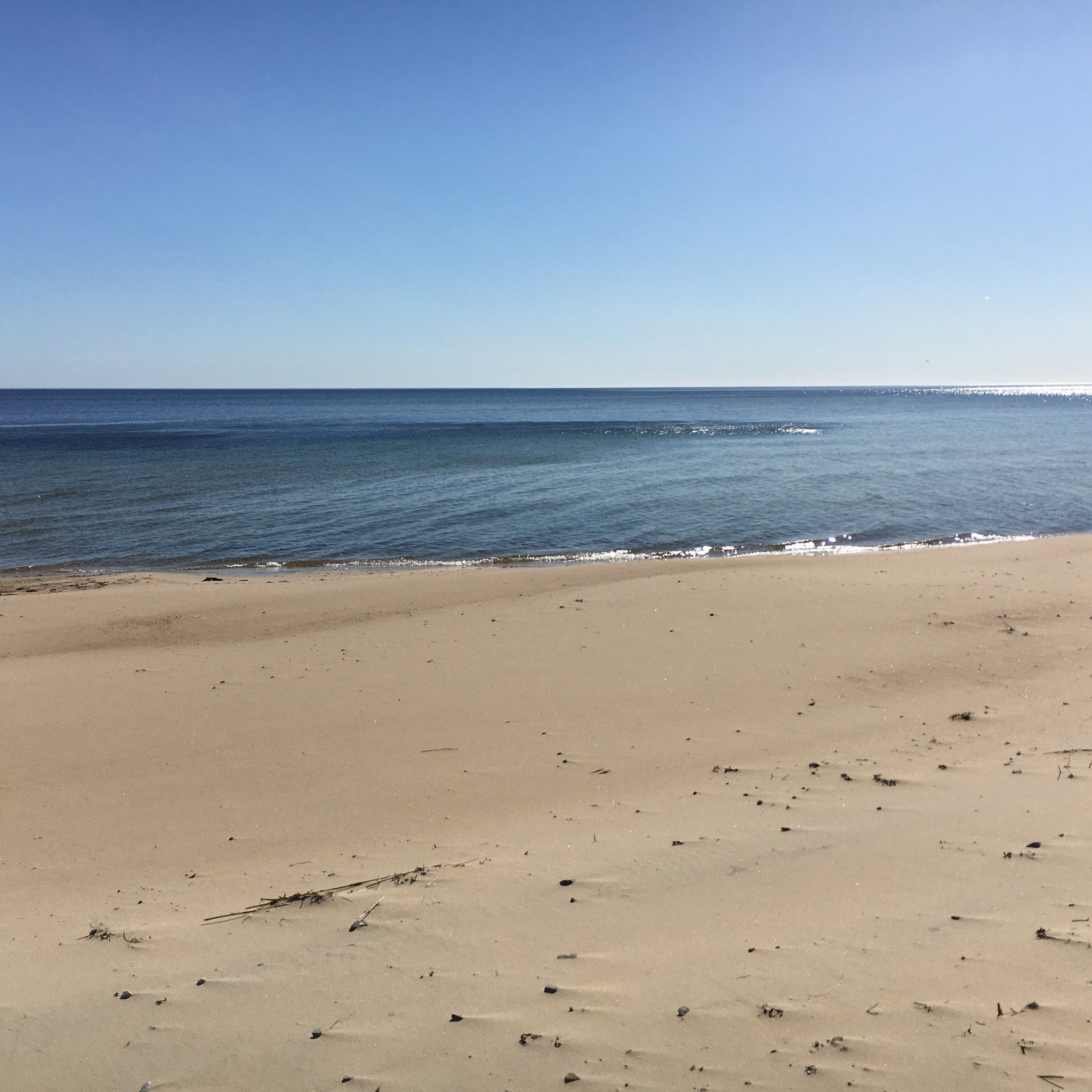 Stranden