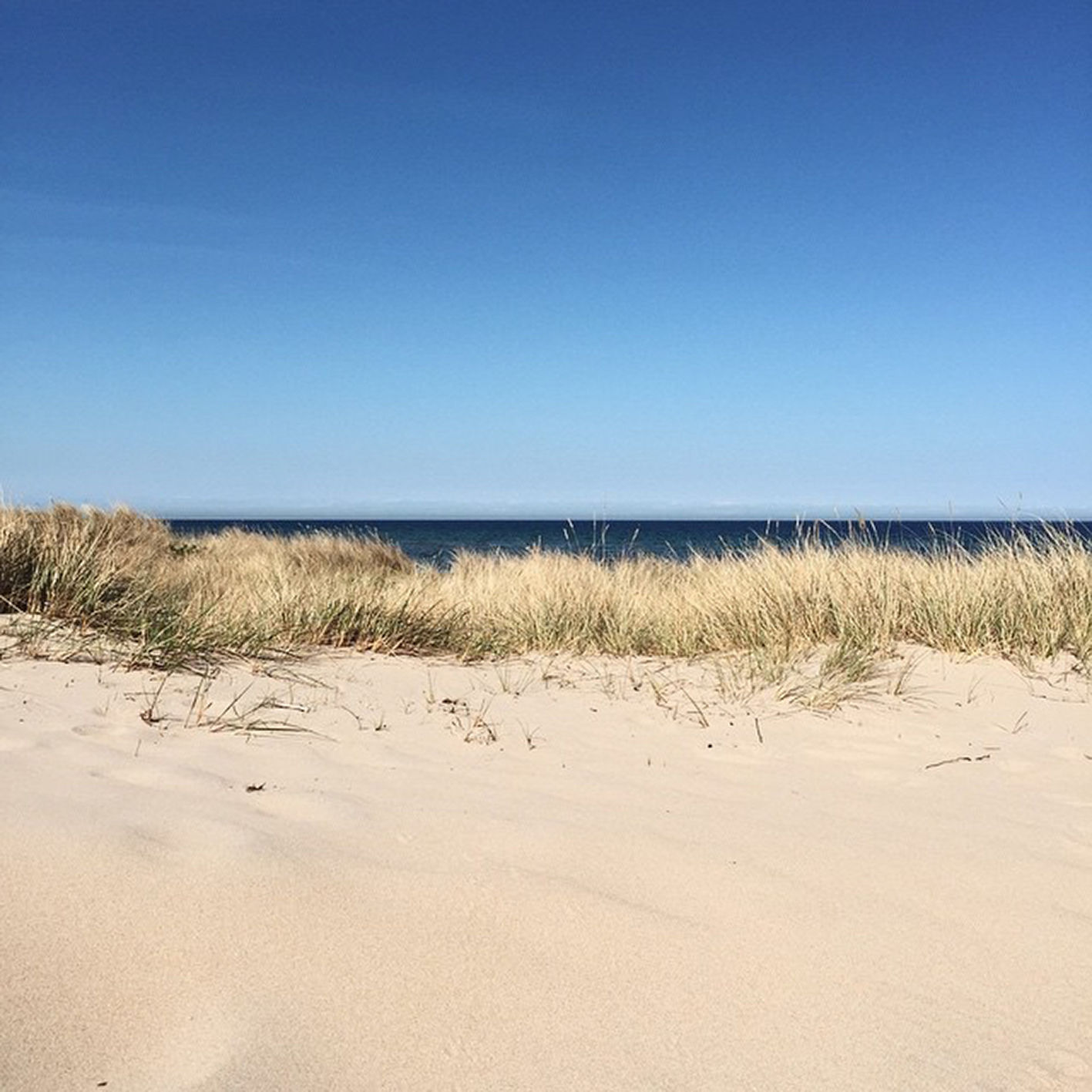 Sanddyn