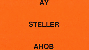 Cursus AHOB met AY-Steller