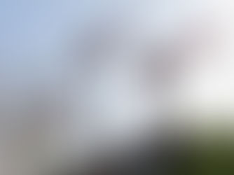 Mechanische emplacementsbeveiliging