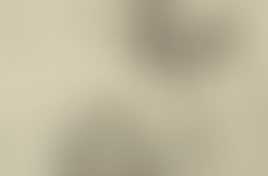 Artikel Volkskrant, oktober 1949