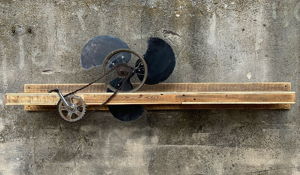 BLOW WIND / political mood / shelf