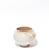 Thumbnail: Small 4.5"Wood Fired Mushroom Vase - **SAMPLE SALE**